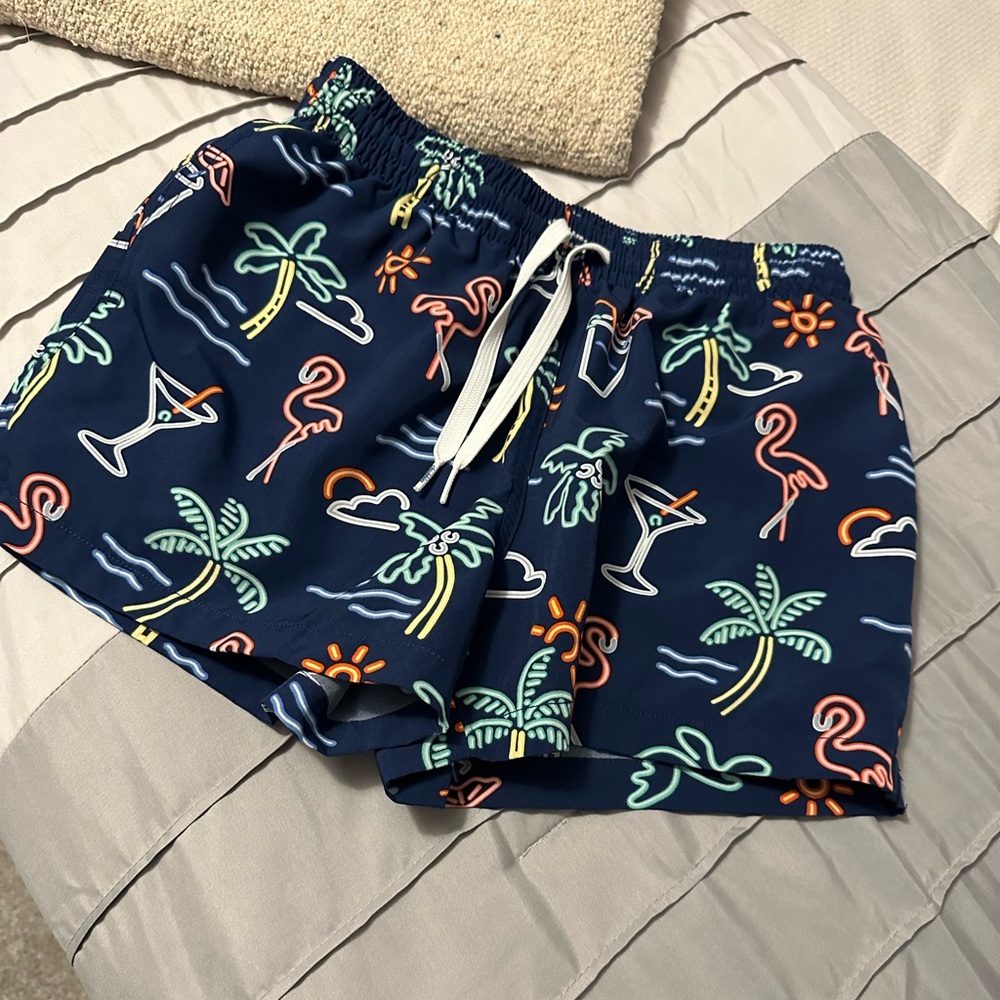 Men’s Chubbies “ The Neon Lights” swim trunks